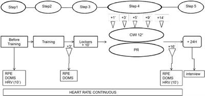 Cold Water Immersion After a Handball Training Session: The Relationship Between Physical Data and Sensorial Experience